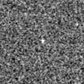 2019lat_image