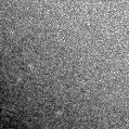 2019lcd_image