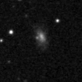 2019lci_image