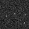 2019lcp_image