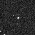 2019lcq_image
