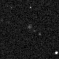 2019lcu_image