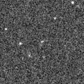 2019ldj_image