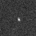 2019leo_image