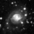 2019lis_image