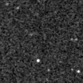 2019lmp_image