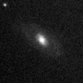 2019lnt_image