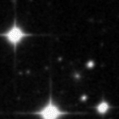 2019lqj_image