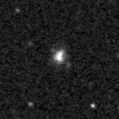2019lrk_image