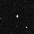 2019lsk_image