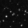 2019lsn_image
