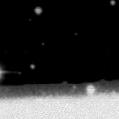 2019lss_image