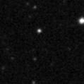 2019ltd_image