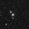 2019lup_image