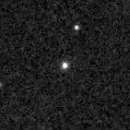 2019lwx_image