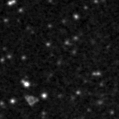 2019lxl_image