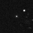 2019lyj_image