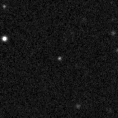 2019lys_image