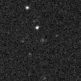 2019lzk_image