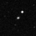 2019mew_image