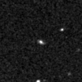 2019mex_image