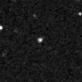 2019mfl_image