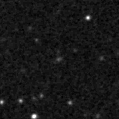 2019miq_image