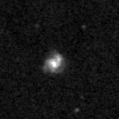 2019mji_image
