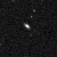 2019mjl_image