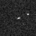 2019mjs_image