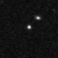 2019mkj_image