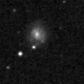 2019mkl_image