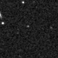 2019mlh_image