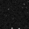 2019mli_image