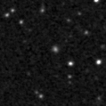 2019mlm_image