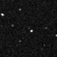 2019mlr_image