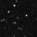 2019mlt_image