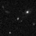 2019mlv_image