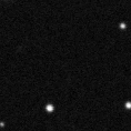 2019mlz_image