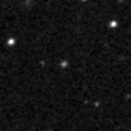 2019mnk_image