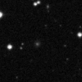 2019moy_image