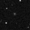 2019mrg_image