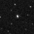 2019mrl_image