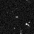 2019msf_image