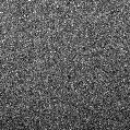 2019msk_image