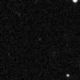 2019msq_image