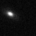 2019msw_image