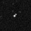 2019msy_image