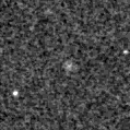 2019mtd_image