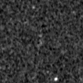 2019mus_image